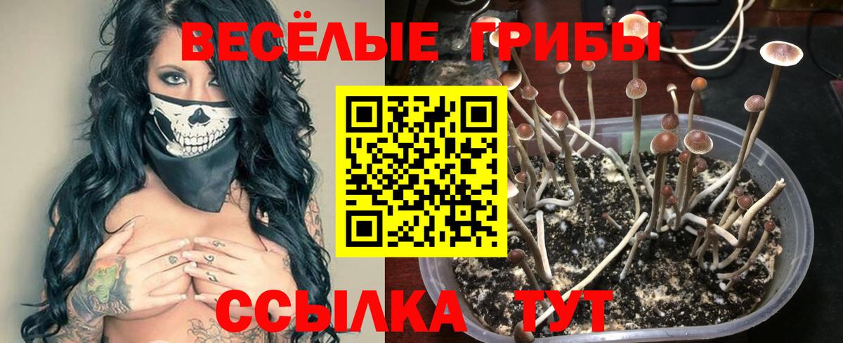 Галлюциногенные грибы ЛСД Октябрьский