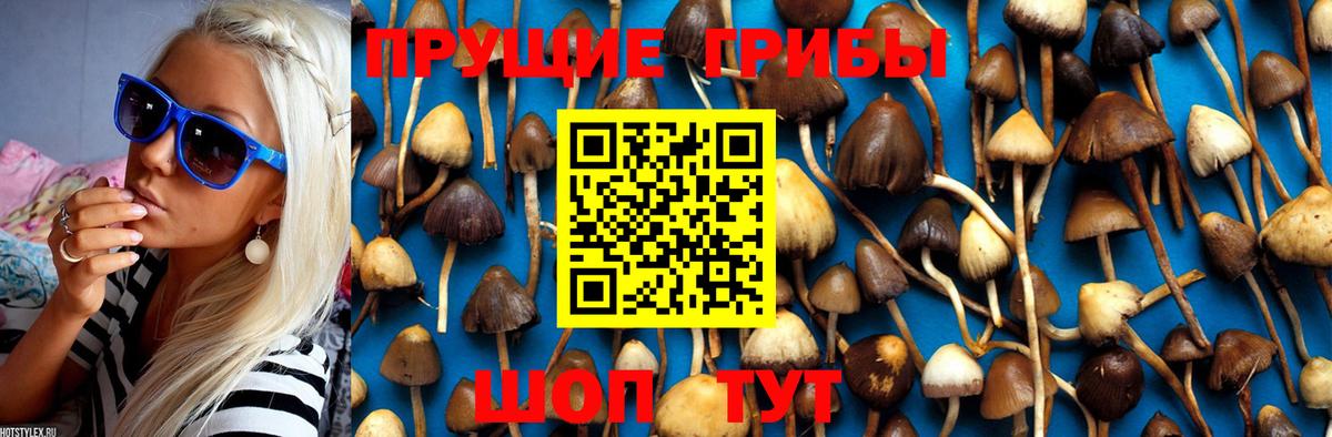 Октябрьский  Псилоцибиновые грибы ЛСД  Псилоцибиновые грибы GOLDEN TEACHER  Вход с VPN 